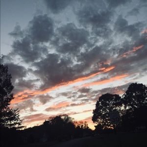 Meet your Posher, Nitaya